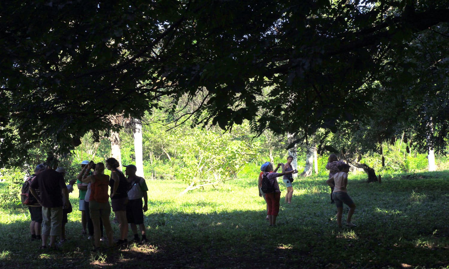 Imagen_Besuch des Botanischen Garten